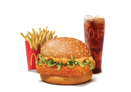 McSpicy Paneer Burger Combo — official McDelivery India menu photo