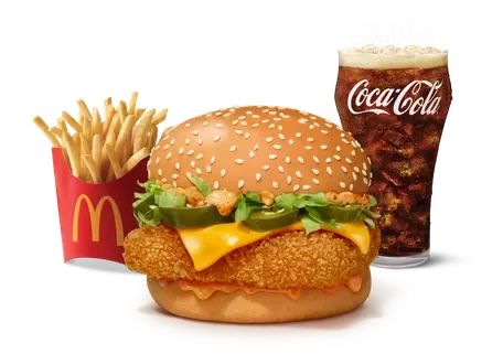 McSpicy Premium Burger Veg Combo — official McDelivery India menu photo